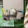 3DOG Taschenset grau